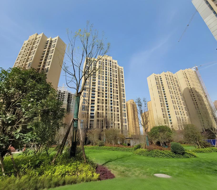 蓝光雍锦天府效实景图