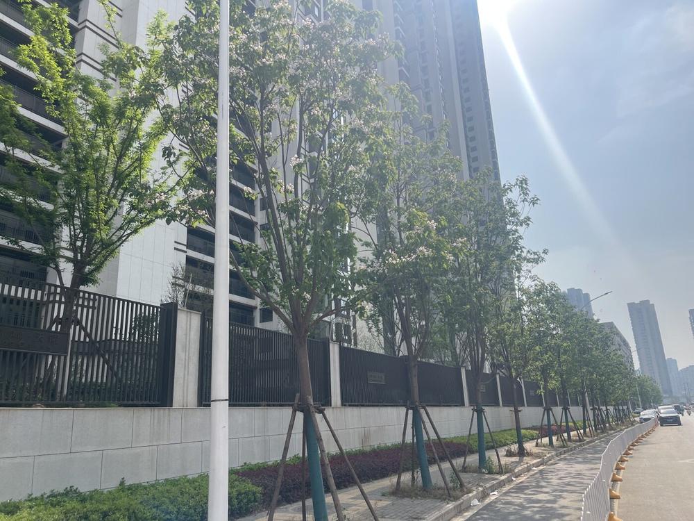 龙湖清能天曜 实景图