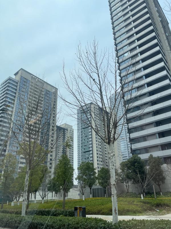 联投中心 实景图