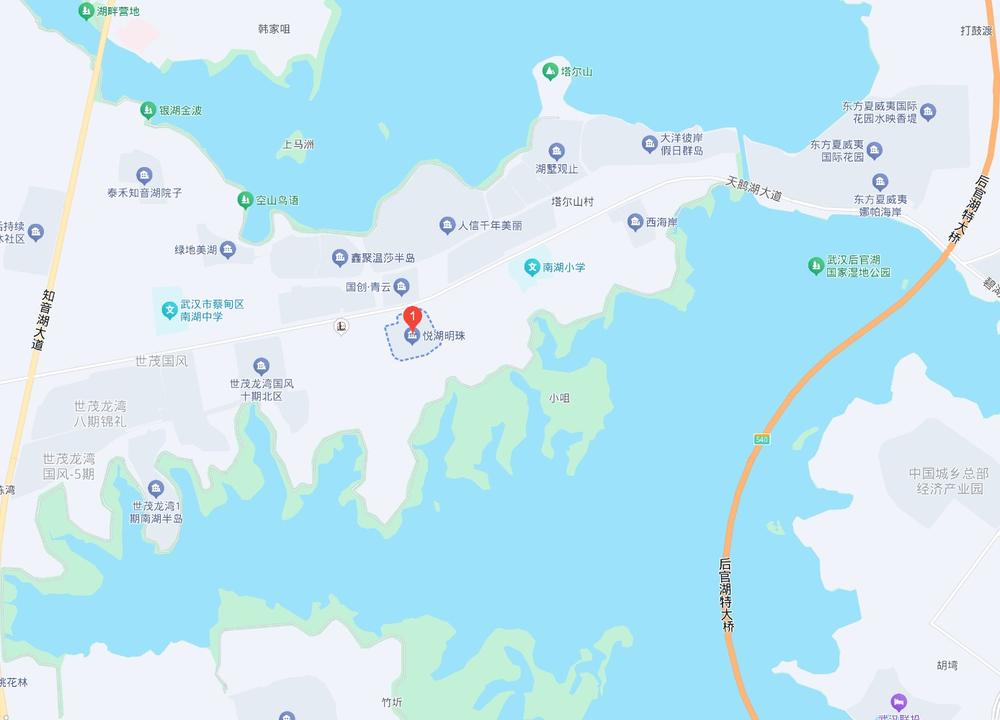 悦湖明珠 交通图