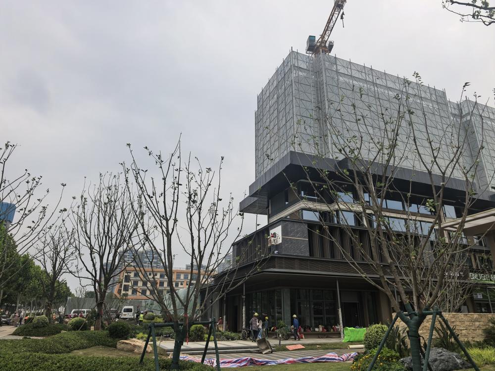 湖北科投万科·光谷锦上 实景图