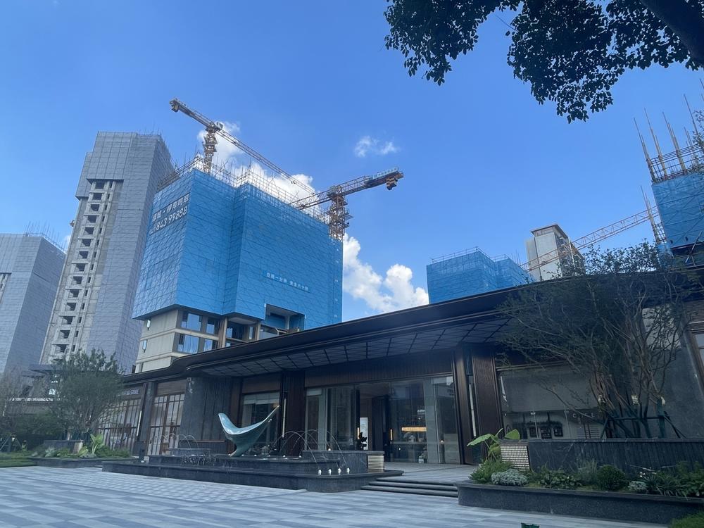 绿城·柳岸鸣翠实景图