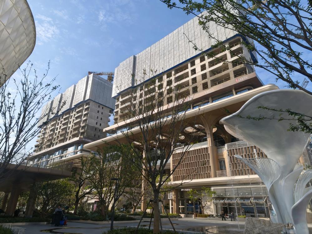 武汉·理想之地 实景图