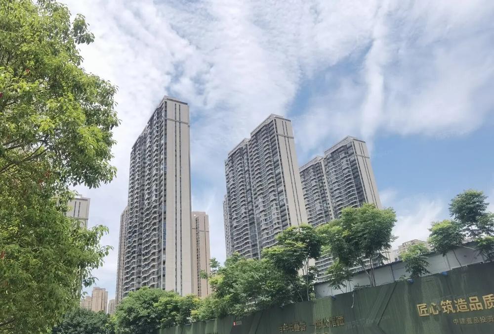 中建·大公馆实景图