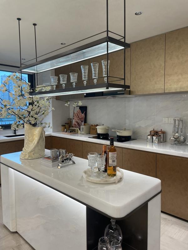 金地·大成乐府 其他图