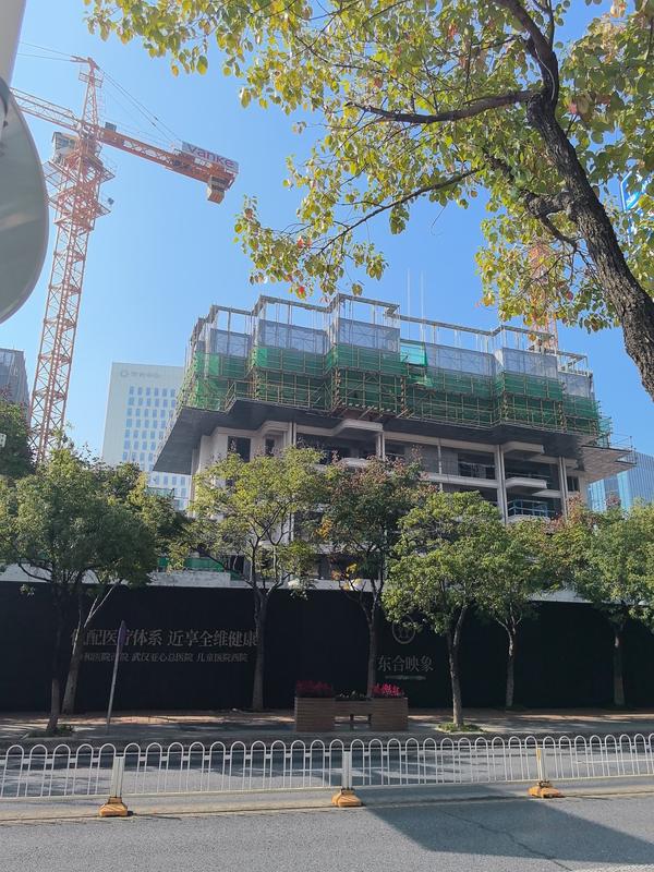 长江投开万科·东合映象 实景图