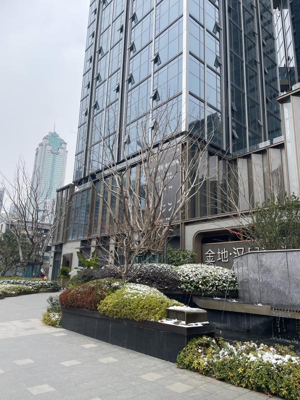 金地汉口峯汇实景图