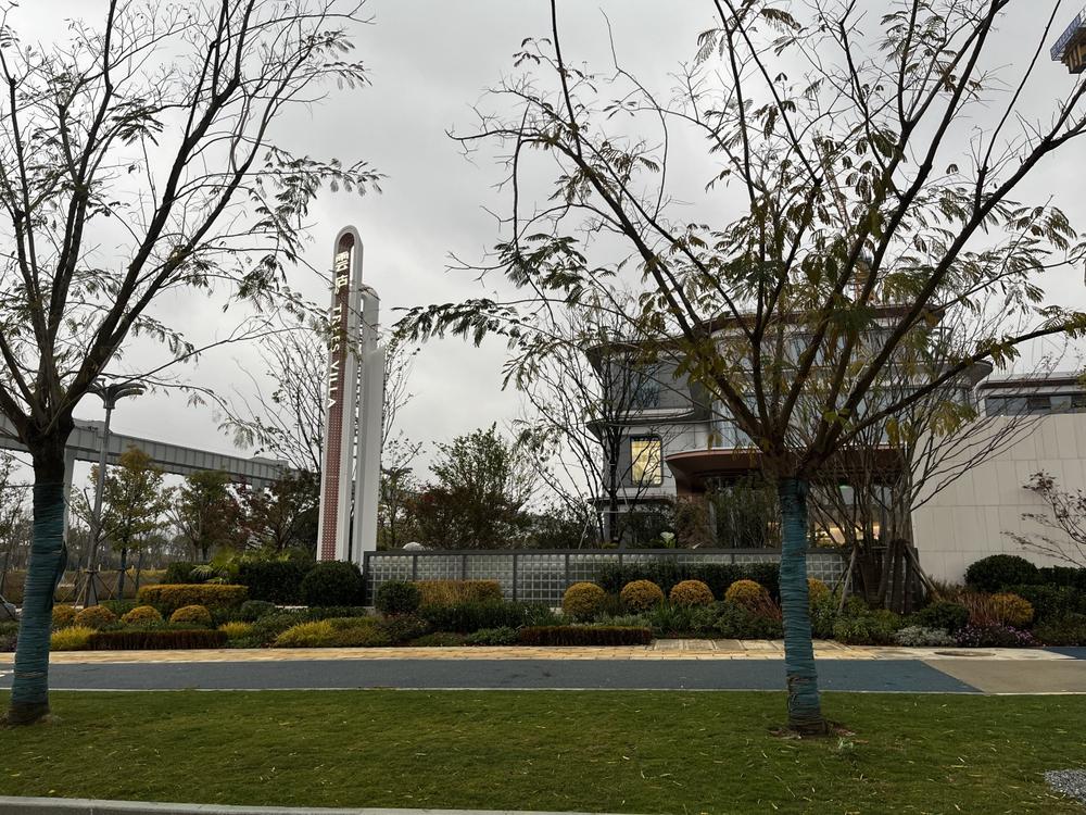 光谷中心城投 绿城·雲庐实景图